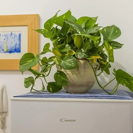 Appartement Casa Dell'artista Cozy In Vucciria Palerme